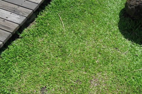 Landscaping Contractors Driffield