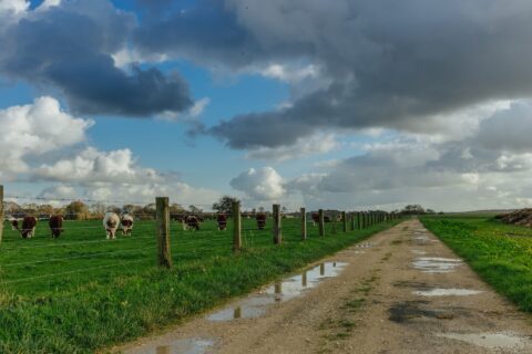 Farm Road Repairs Wetherby LS22