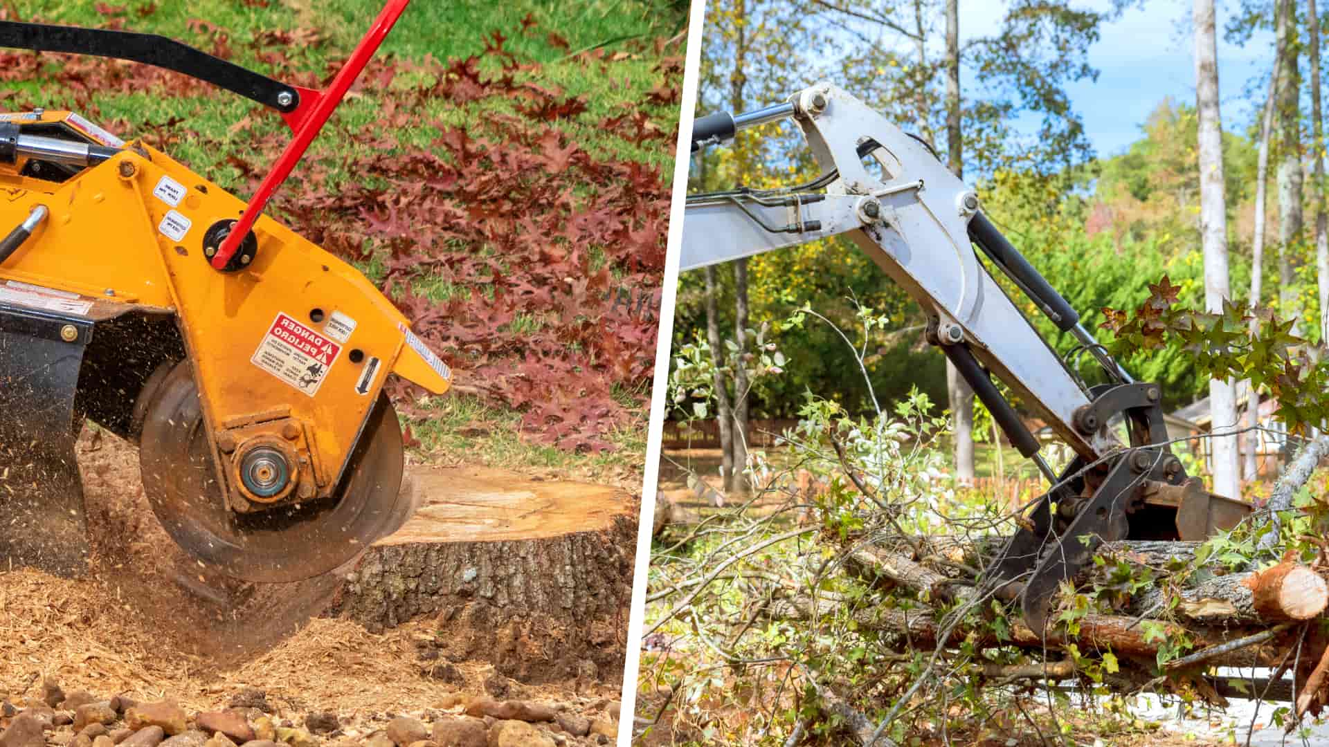 Affordable tree surgery services Affordable tree surgery services Bridlington
