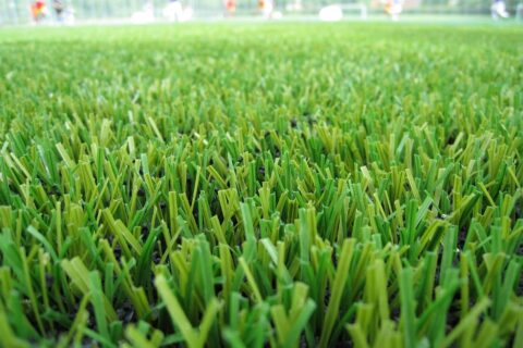 Artificial Grass near me Driffield YO25