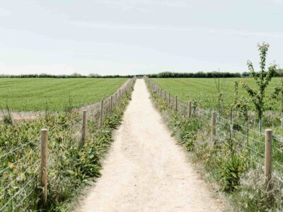 Farm road construction company near me Wetherby