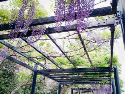 Garden pergola services Yorkshire