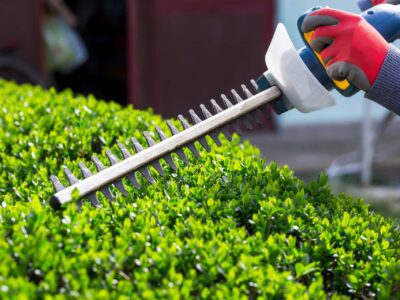 Bridlington hedge trimming