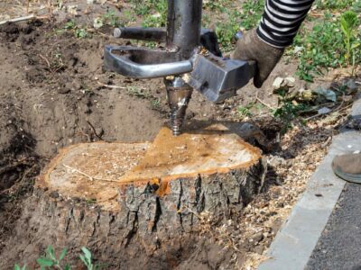 Stump grinding Harrogate