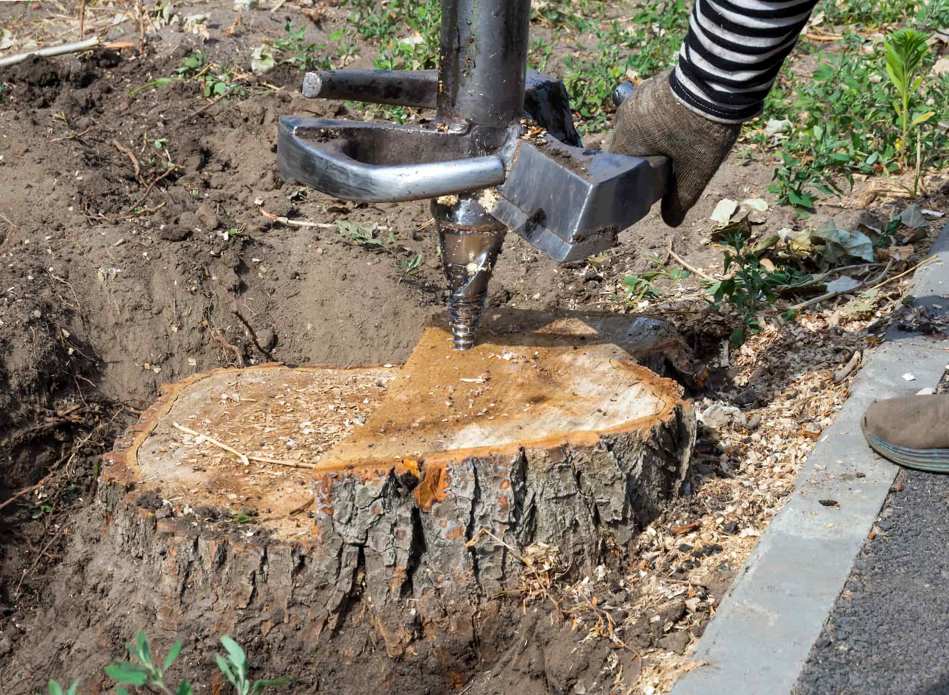 Manually Remove Tree Stump Harrogate Manually Remove Tree Stump