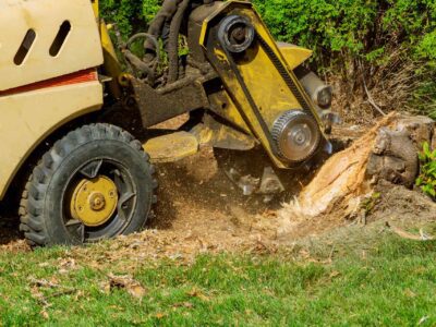 Stump grinder hire near me Harrogate