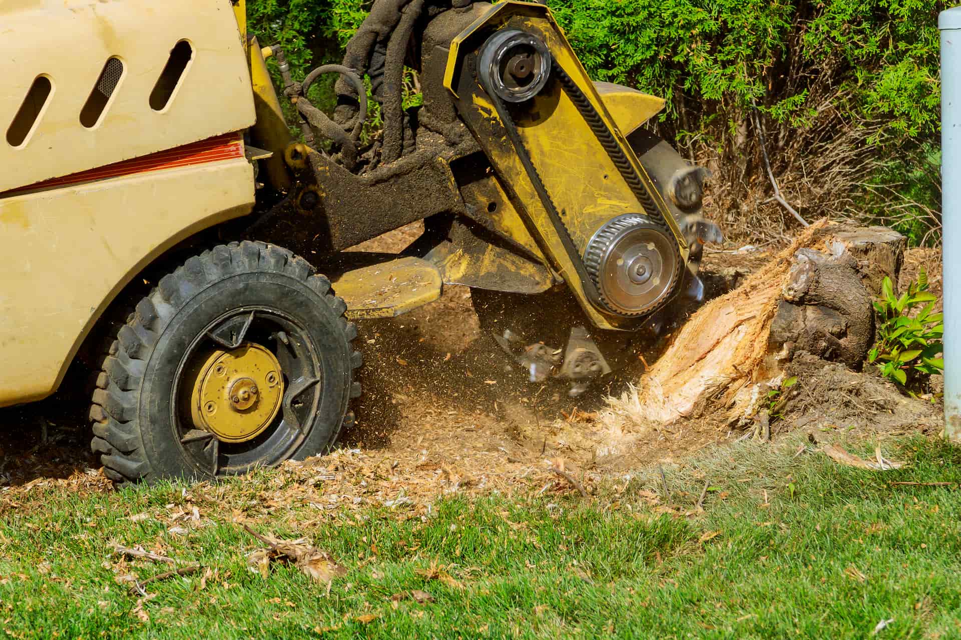 Mechanical stump grinding Mechanical stump grinding Harrogate