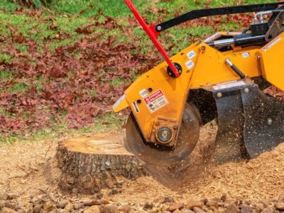 Stump grinding near me Harrogate
