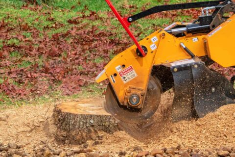Tree Stump Grinding Services Yorkshire