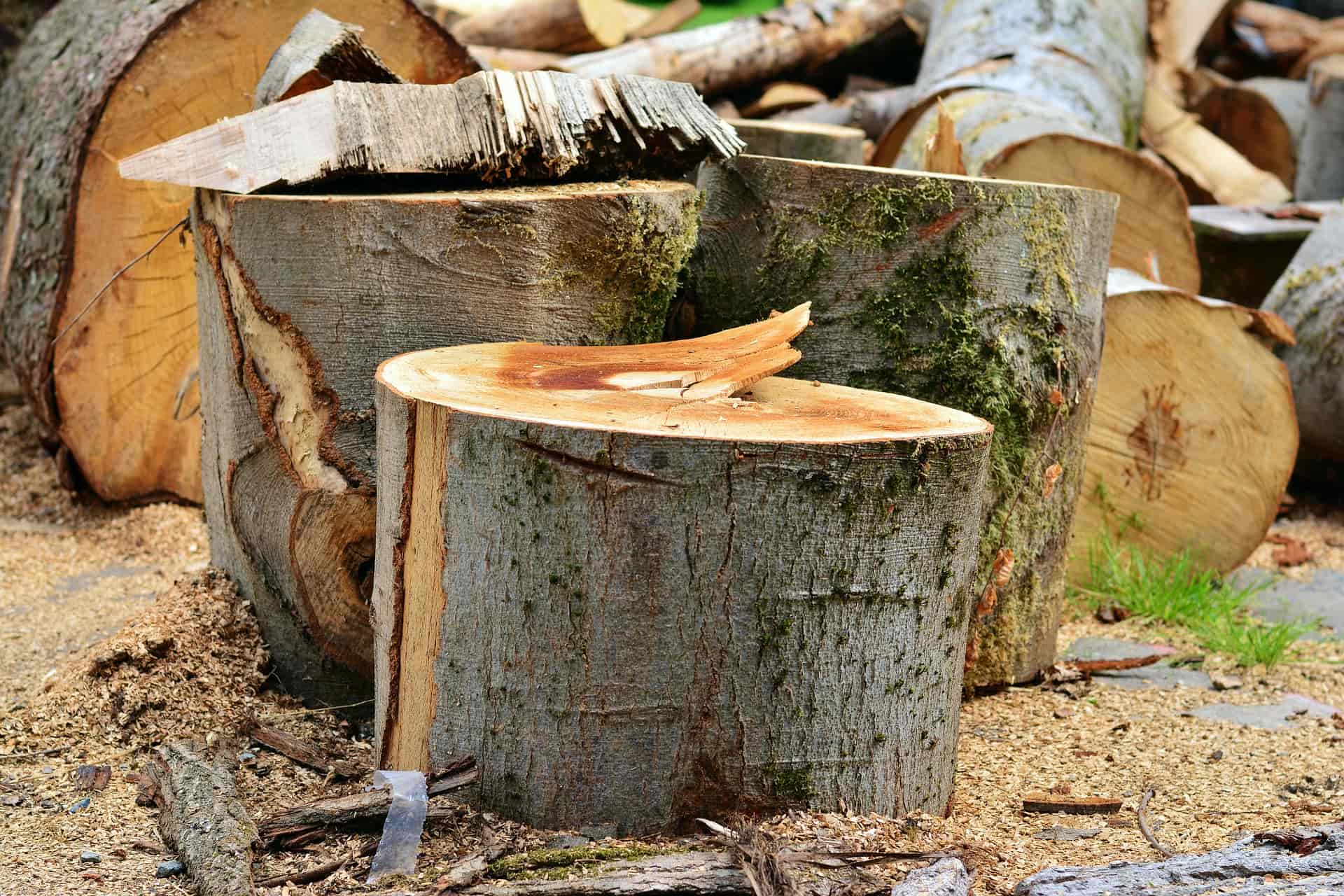 Stump grinding near me Harrogate Eco Friendly Stump Removal