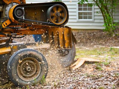 Tree stump grinding Harrogate