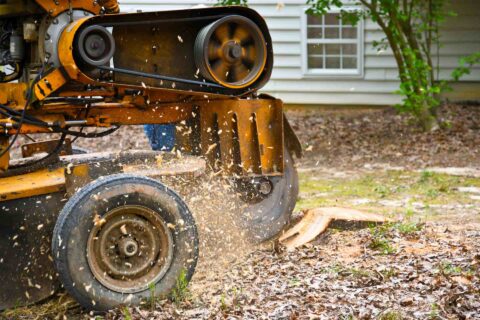 Stump Grinding near me Harrogate HG1-HG3