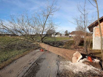 Site clearance near me Driffield