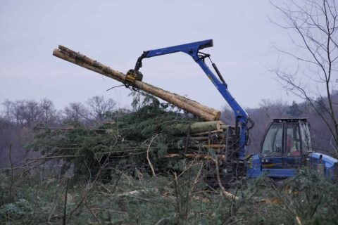 Driffield Emergency Site Clearance Services