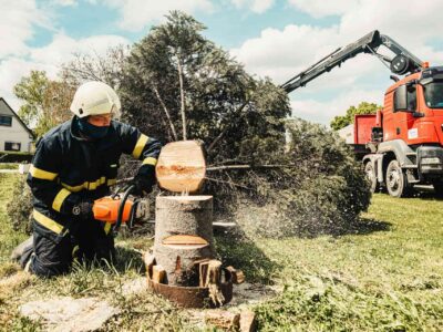 Tree surgery Bridlington