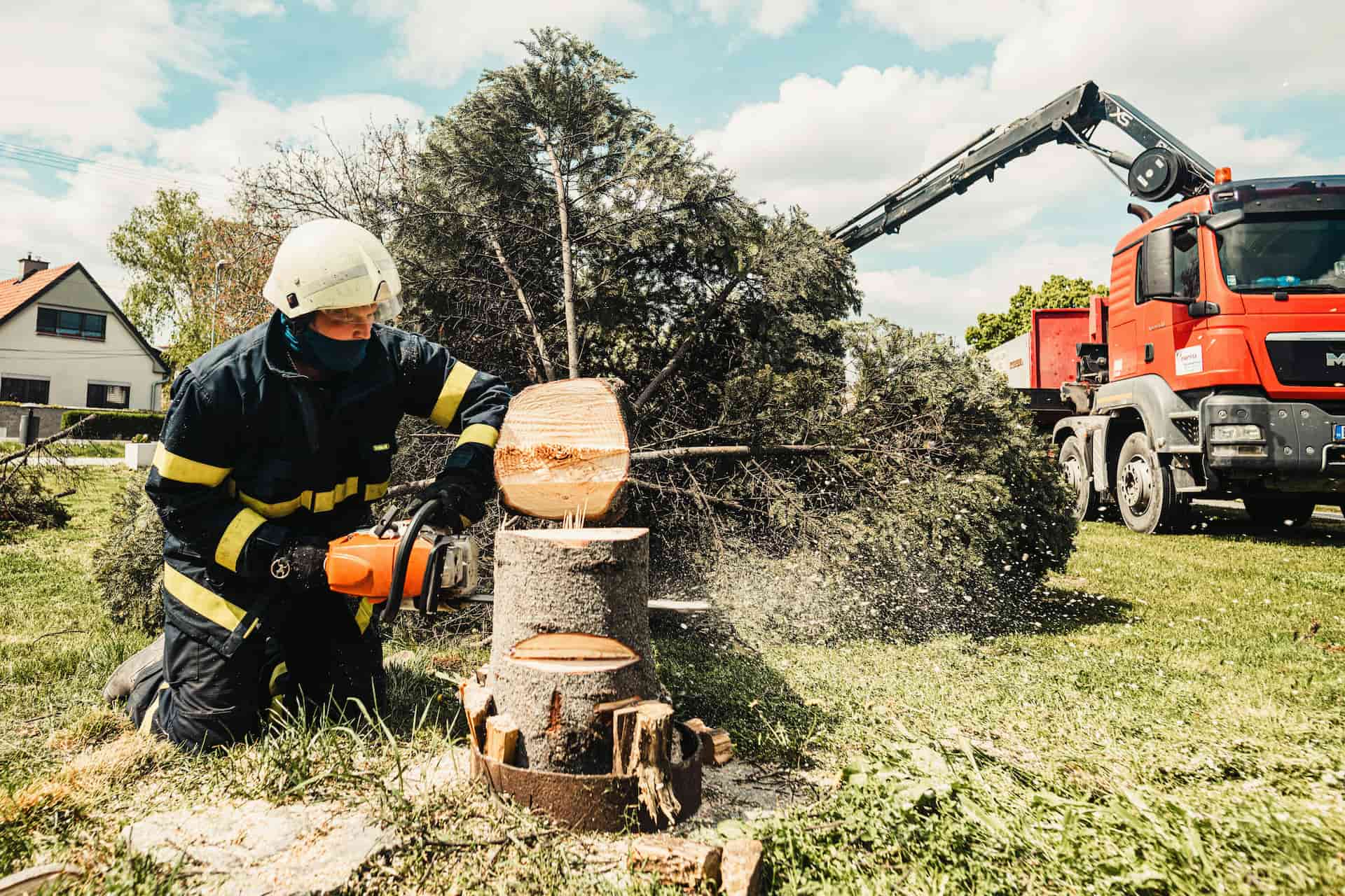 Tree surgeons near me Tree surgeons near me Wetherby